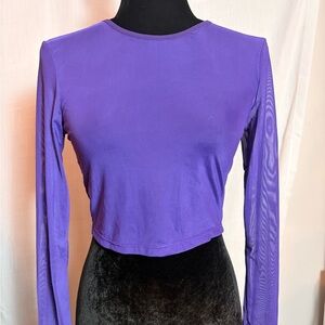 Purple Long Sleeved Sheer Crop